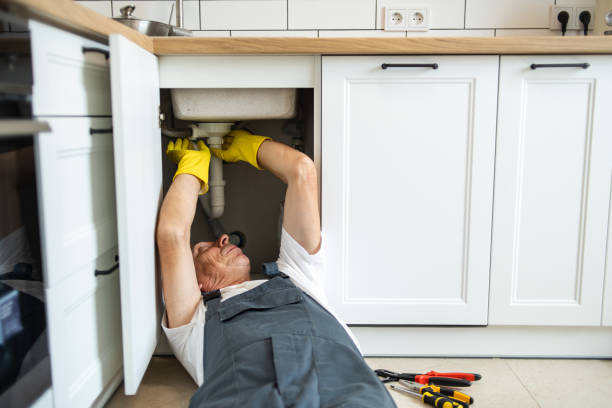 Best Clogged Drain Plumber  in Duncannon, PA